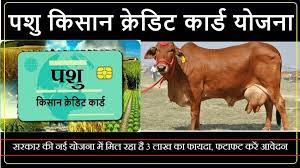 Pashu Kisan Credit Card 2023
