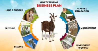 Goat Farming Loan Scheme