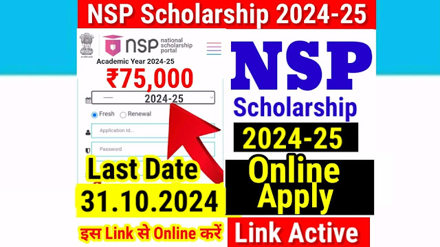 Students filling out the NSP scholarship form for the 2024-25 academic year on the official website